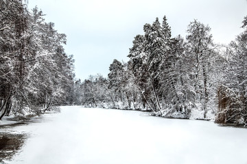 The lake, covered with snow, among the snowy forest.