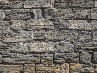 wall texture Shellfish brick wall