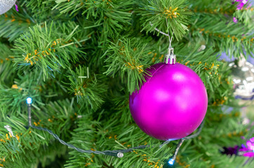 Green Christmas tree with a purple ball.