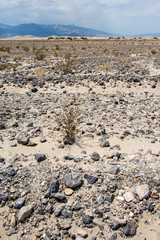Fototapeta na wymiar Rocks, sand and sagebrush with the Panamint Mountains in background of Death Valley National Park