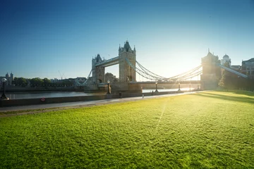 Door stickers Tower Bridge grass and tower bridge in sunny morning London, UK