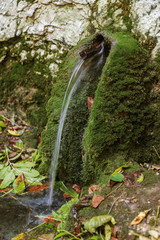 The holy spring of living water, the old 17th century font, moss-covered walls, autumn. Well of...