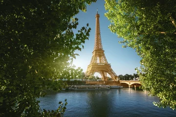 Zelfklevend Fotobehang Seine in Paris with Eiffel tower © Iakov Kalinin
