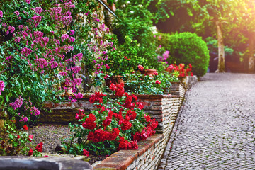 Fototapeta na wymiar Landscape design with red roses in garden. Picturesque park