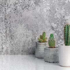 Modern room decoration. Collection of concrete potted cactus house plants on white shelf against industrial stone wall. Cactus plants background. Copy space front view.
