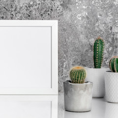 Industrial room decoration. Various cactus and succulent plants in different pots. Mock-up with a white frame. Front view.