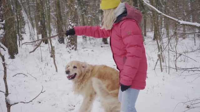 Girl playing with golden retriver dog in snowy forest