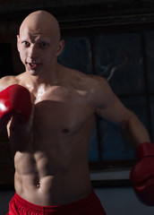 Fototapeta na wymiar Aggressive boxer in training