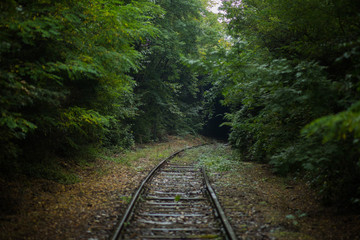 railway in forest