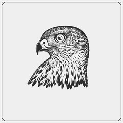 Vector illustration of hawk. Hawk emblem. Print design for t-shirts.