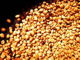coffee bean