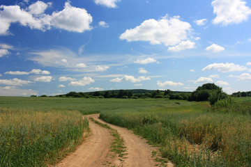 Fototapeta na wymiar Deserted country road in a field
