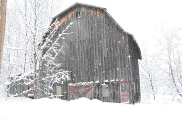 Snow Barn