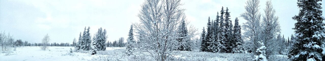 Panorama view of Beautiful winter landscape in the in the winter season at Lovozero, north of Russia.