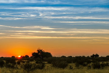 Sunset on the red Kalahari desert with a blue and orange sky in southern Namibia, Africa