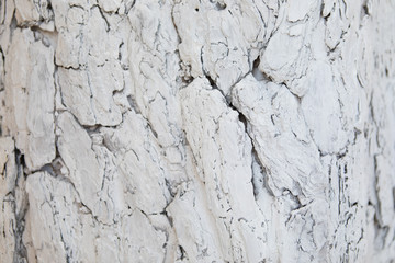 White background stone alebaster texture 