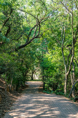 National Botanical garden in Pretoria, South Africa. Plants from all over Southern Africa can be seen in this well maintained nature spot.