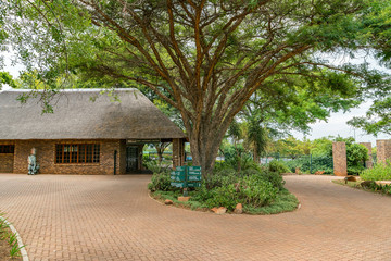 National Botanical garden in Pretoria, South Africa. Plants from all over Southern Africa can be seen in this well maintained nature spot.