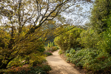 Garden path at Dyrham Park