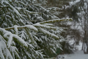 Wintergarten