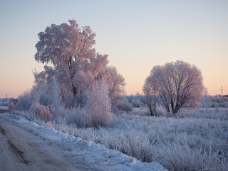 Beautiful winter landscape. Trees in the snow, snowdrifts.