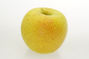 リンゴ　星の金貨　青森県産　白抜き