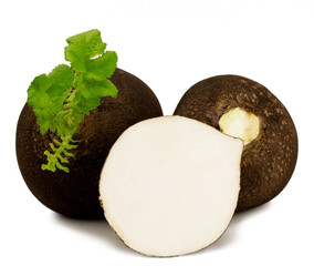 Black radish isolated on white background