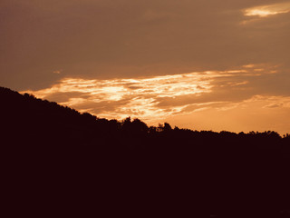 sunset with the silhouette of the forest
