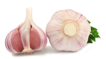 Garlic on white background isolated
