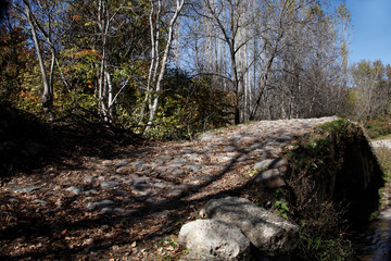 historic stone bridge in the forest