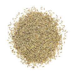Fennel seeds on a white background