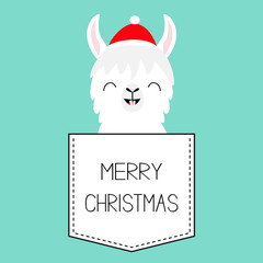 Merry Christmas. Llama alpaca sitting in the pocket. Santa Claus hat. Face with tooth. Cute cartoon character. Hello winter. Happy New Year. Blue background. Flat design.