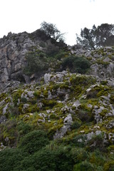 Fototapeta na wymiar Hiking on mountains in Sierra de Grazalema Natural Park, province of Cadiz, Andalusia, Spain, towards Benamahoma