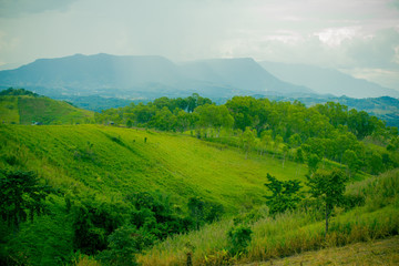 Panorama landscape of  green mountain