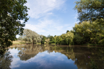 A small lake surrounded by trees with their reflection in the water on a sunny Summer day