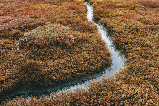 Detail of intertidal wetlands and water channels, Drakes Estero, Pt. Reyes National Seashore, California, USA.
