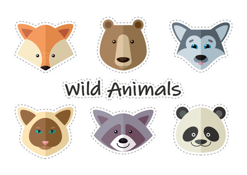 Stickers with cute animal muzzles. Wild animals portrait set with flat design. Vector illustration