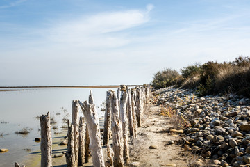 Salz in der Camargue Holz