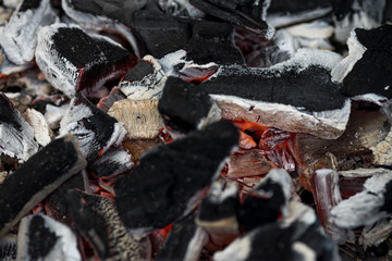 Obraz premium Remains of a campfire