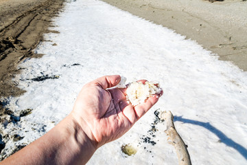Salz in der Hand camargue