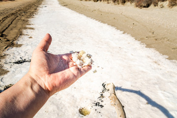 Salz in der Hand camargue