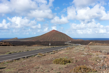 Sparse vegetation at the volcanic mountains. Lanzarote. Canary Islands. Spain