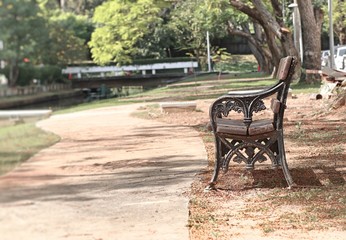 Bench in the park