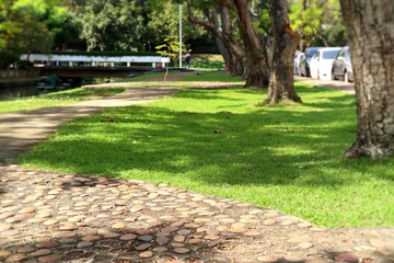 Walkway in the park