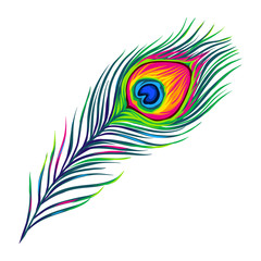 Peacock feather isolated on white background.