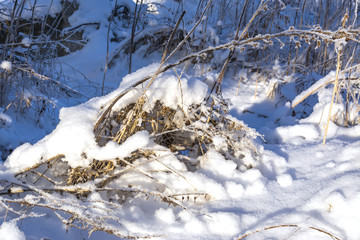 Grass covered with snow and frost