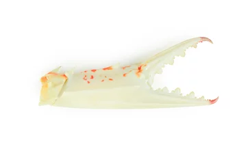 Foto op Plexiglas crab isolated on white background © sangsiripech