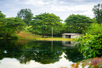 Landscape of lake and farmland in Asia during the cloudy day.