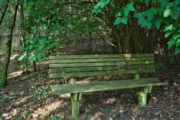 Naklejka premium bench