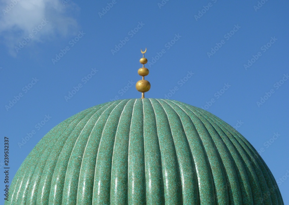 Wall mural mosque monastir